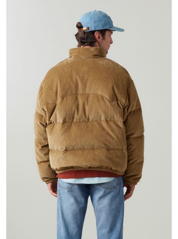 Levi's Tusssenjas camel