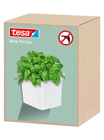 tesa Kräutertopf in Weiß - (B)14 x (H)13,5 x (T)13,5 cm
