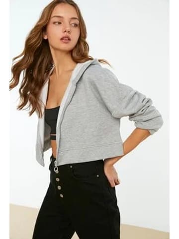 trendyol Sweatjacke in Grau