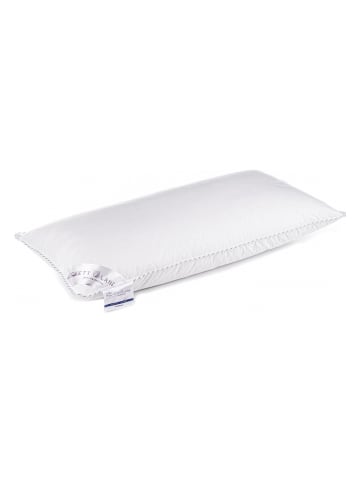 Heckett Lane Daunenkissen in Weiß