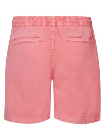 Petrol Industries Chinoshorts in Rosa
