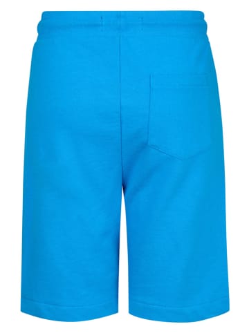 Petrol Industries Shorts in Blau