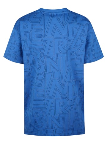 Petrol Industries Shirt in Blau