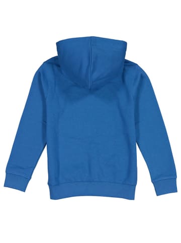 Petrol Industries Hoodie in Blau