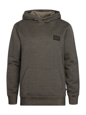 Petrol Industries Hoodie in Khaki