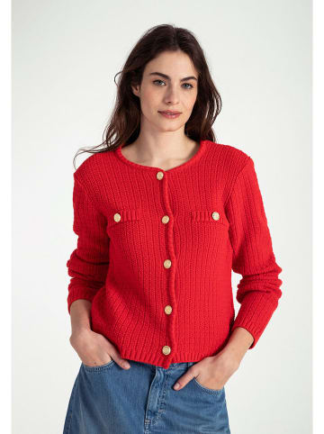 More & More Vest rood