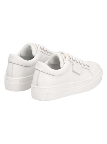 Liu Jo Leren sneakers wit