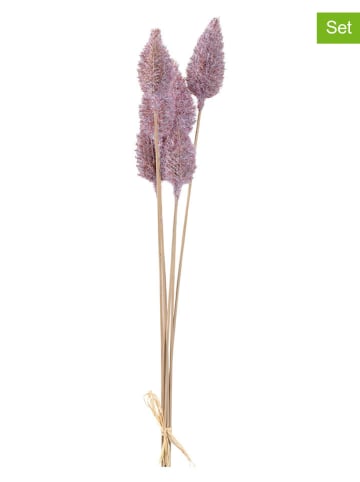 LEONARDO 2er-Set: Kunstpflanzen ''Sea Holly'' in Lila - (L)65 cm