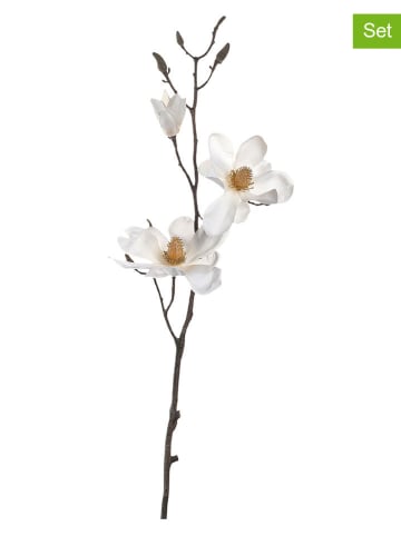 LEONARDO 2-delige set: kunstplanten "Vernazza" wit - (L)80 cm