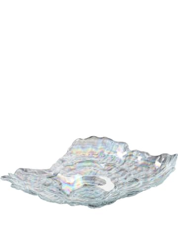 LEONARDO Muschelschale "Poesia" - (L)46 x (B)35 cm