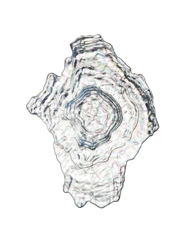 LEONARDO Miska "Poesia" - 46 x 35 cm