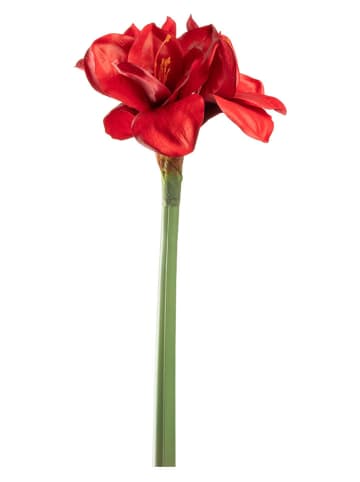 LEONARDO Kunstplant "Autentico" rood - (L)55 cm