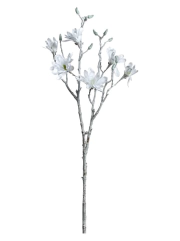 LEONARDO Kunstplant "Palazzo" wit - (L)85 cm