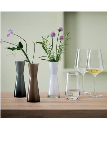 LEONARDO 6-delige set: rieslingglazen "Puccini" - 400 ml