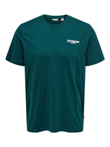 ONLY & SONS Shirt in Grün