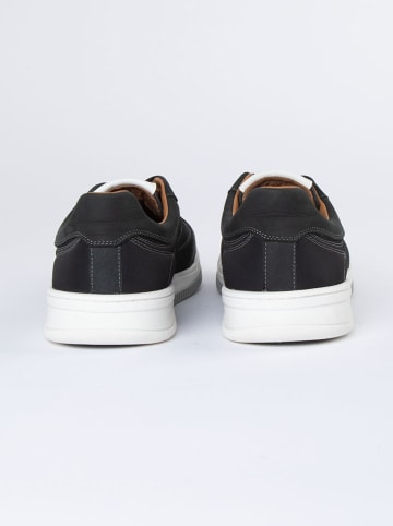 PAUL VESTERBRO Leder-Sneakers in Schwarz