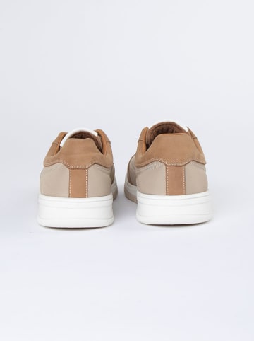PAUL VESTERBRO Leder-Sneakers in Beige