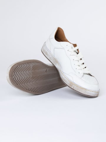 PAUL VESTERBRO Leren sneakers wit