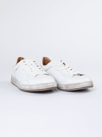 PAUL VESTERBRO Leder-Sneakers in Weiß