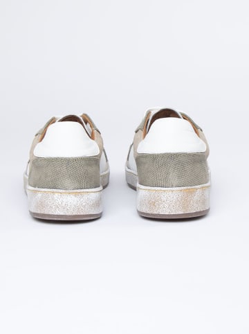 PAUL VESTERBRO Leder-Sneakers in Beige/ Grau/ Creme