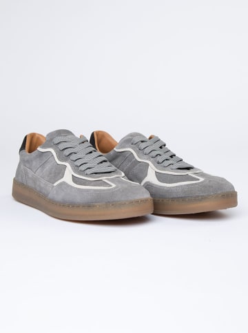 PAUL VESTERBRO Leren sneakers grijs