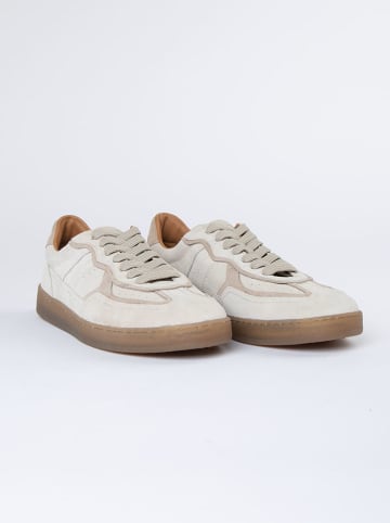 PAUL VESTERBRO Leder-Sneakers in Beige