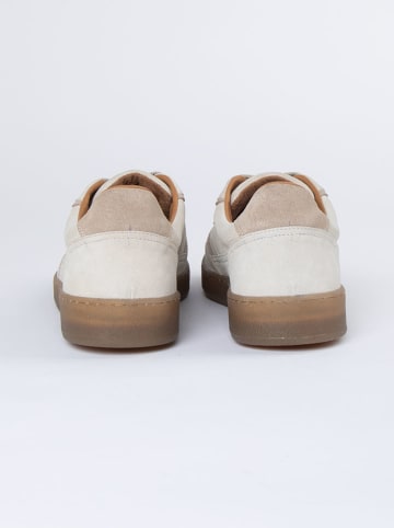 PAUL VESTERBRO Leder-Sneakers in Beige