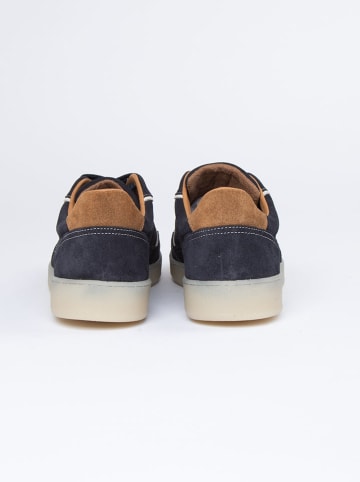 PAUL VESTERBRO Leder-Sneakers in Dunkelblau