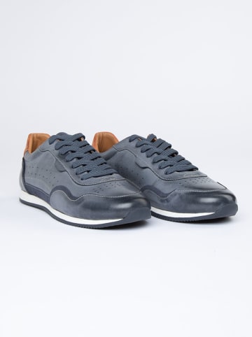 PAUL VESTERBRO Leder-Sneakers in Blau