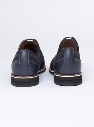 PAUL VESTERBRO Leder-Schnürschuhe in Dunkelblau