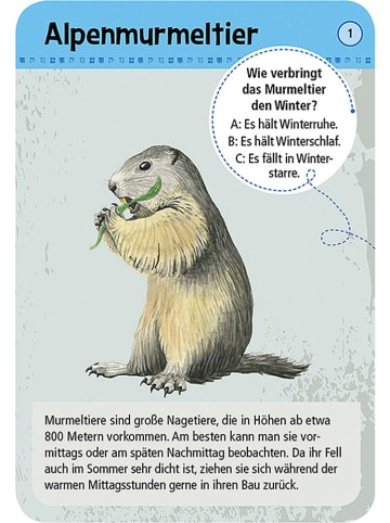 moses. Kartenset "50 heimische Tiere & Pflanzen im Gebirge" - ab 6 Jahren