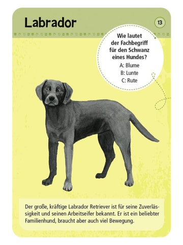 moses. Kartenspiel "Expedition Natur 50 Haustiere" - ab 6 Jahren