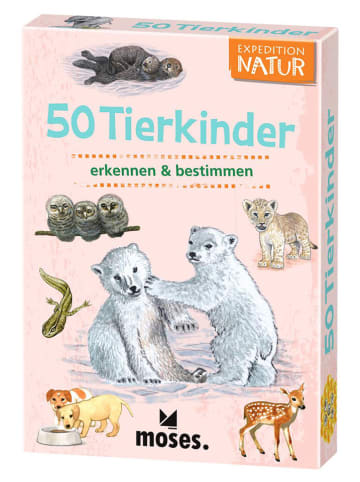moses. Kartenset "50 Tierkinder" - ab 6 Jahren