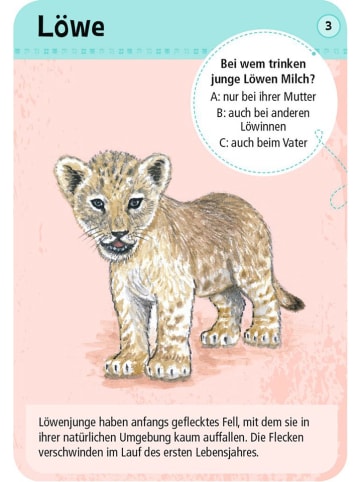 moses. Kartenset "50 Tierkinder" - ab 6 Jahren