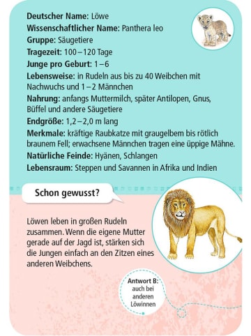 moses. Kartenset "50 Tierkinder" - ab 6 Jahren