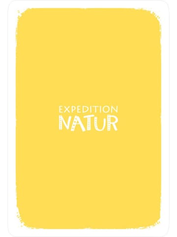 moses. Quartett "Tierrekorde" - ab 8 Jahren