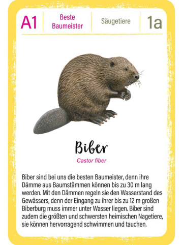 moses. Quartett "Tierrekorde" - ab 8 Jahren