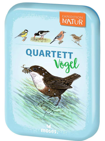 moses. Quartett "Vögel" - ab 8 Jahren