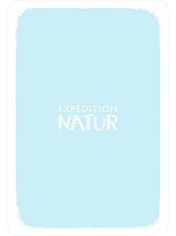 moses. Quartett "Vögel" - ab 8 Jahren