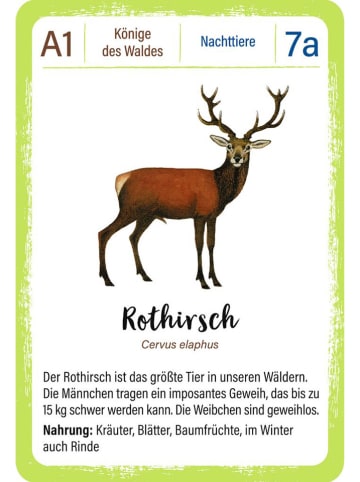 moses. Quartett "Waldtiere" - ab 8 Jahren