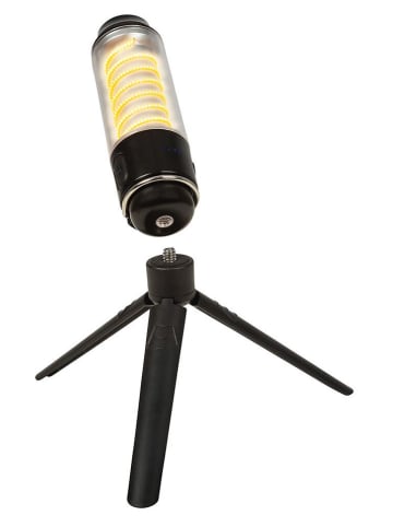 moses. Allroundlicht "Expedition Natur" - ab 6 Jahren