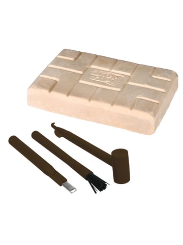 moses. Das große Dino-Erlebnisset "T-Rex" - ab 3 Jahren