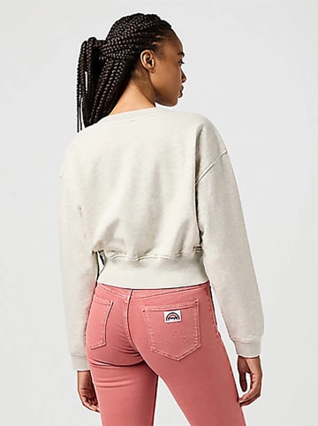 Wrangler Sweatshirt in Beige