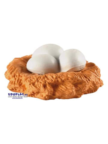 Eduplay Experimenteerset "Ontwikkelingsstadia Kip" - vanaf 3 jaar