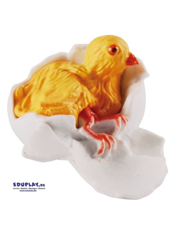 Eduplay Experimentierset "Lebenszyklen Huhn" - ab 3 Jahren