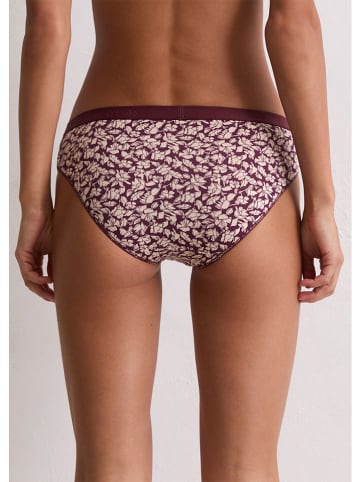 Marc O´Polo 3er-Set: Slips in Bordeaux/ Rosa