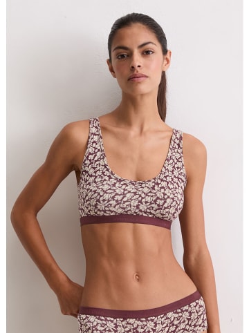 Marc O´Polo Bodywear Bustier in Bordeaux/ Creme