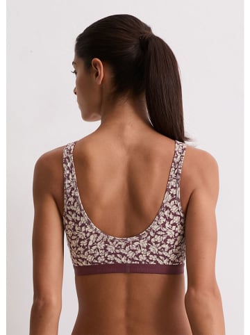 Marc O'Polo Bustier in Bordeaux/ Creme