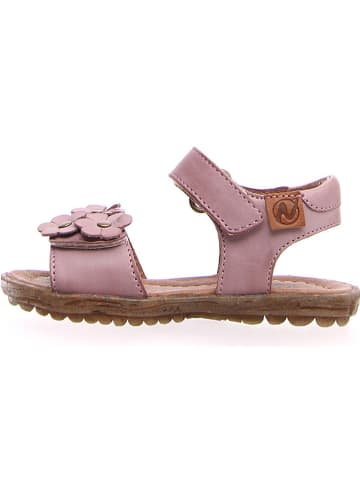 Naturino Leren sandalen lichtroze