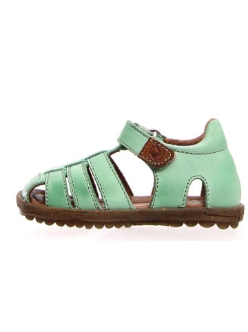 Naturino Leren enkelsandalen groen